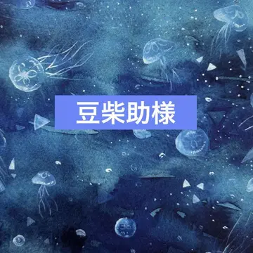 핸드메이드 귀여운 시바견 패널