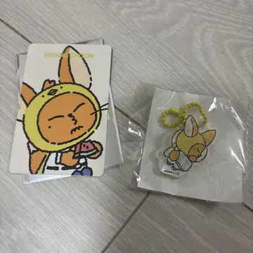 풀파투 popup 팬춘 txt
