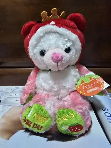 지역 베어 후쿠오카 아마오우 베어