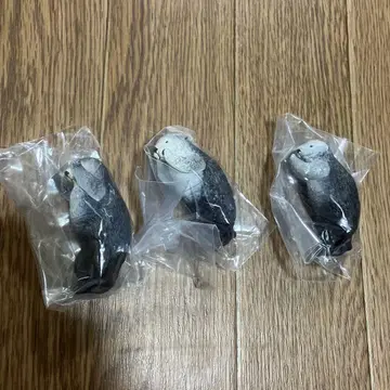 도바 수족관 PukaPuka 랏코 메이와 키라