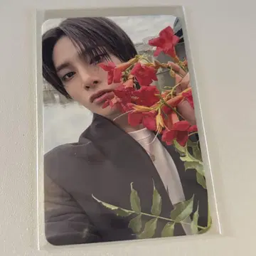 stray kids 아이엔 KARMA