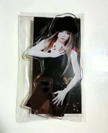 하마사키 아유미 아크릴 스탠드 즉시 구매 가능 무료배송