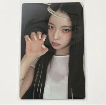 NMIXX forward 타워레코드 특전 트레이딩 카드 규진