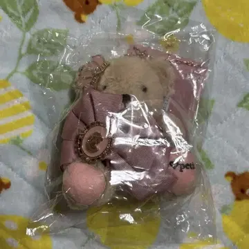 아오키 미사코 곰 참