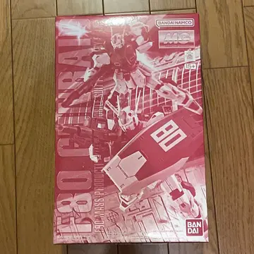 MG 1/100 F80 건 레이드