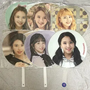 TWICE 채영 부채 6 세트