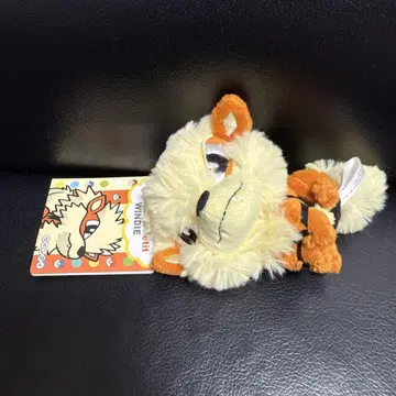 윈디 마스코트 Pokemon Petit