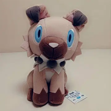 포켓몬스터 썬&문 엄청 큰 봉제 인형 ~암멍이~