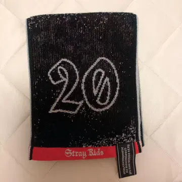 StrayKids 머플러 타월 에코파 스타디움 현진