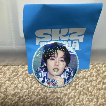 스키즈 리노 팝업 랜덤 캔뱃지 스키즈사우나 JYP