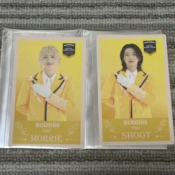 에비라이 2025 인비테이션 카드 BUDDiis MORRIE SHOOT