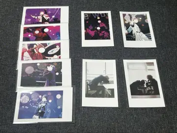 이레이스 나이코 실사 체키 9장