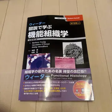 위터 그림으로 배우는 기능 조직학