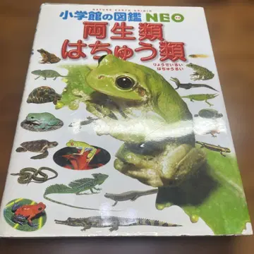 초등학생 도감 5권 세트