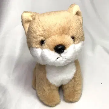 스타차일드 봉제 인형 시바견