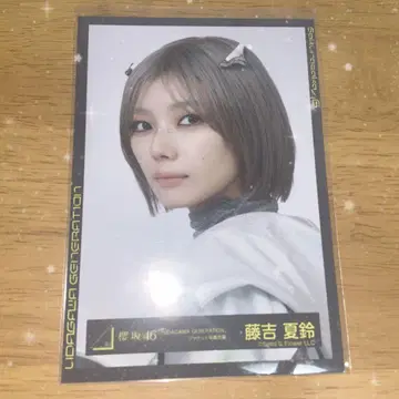 후지요시 카린 우다제네 자켓 사진 요리