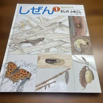킨더북 12권 세트