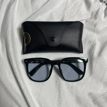 Ray-Ban RB 4401D 정품