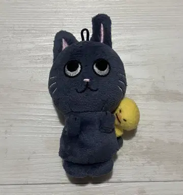 RIIZE 원빈 토냥덕 공식 굿즈