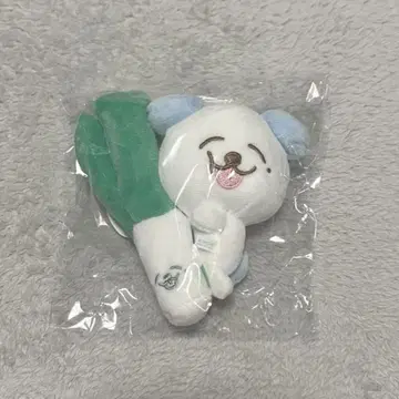 NCTDREAM 제노 POPUP MD 마그넷 봉제 인형