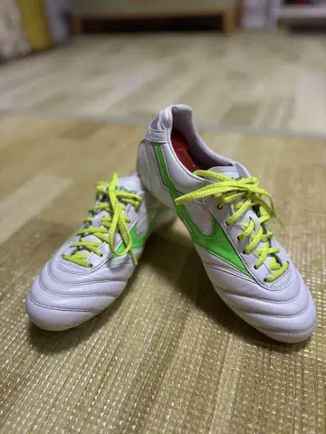 새상품급 모렐리아2 JAPAN 한정 컬러 25cm (덤 포함)