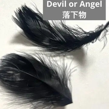나니와단시 봉봉 보야주 낙하물 깃털