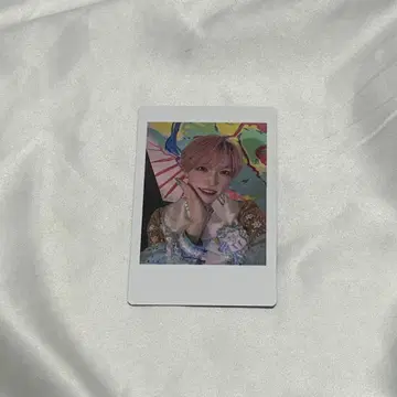 팬더드래곤 타이거 하피카