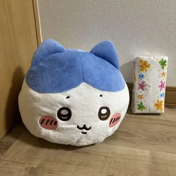 치이카와 프리미엄 돔 쿠션 하치와레