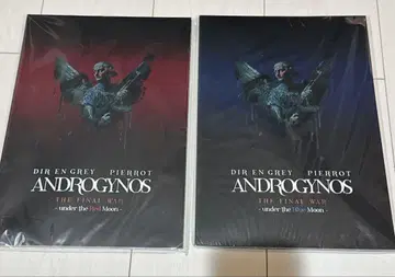 안드로지너스 팜플렛
