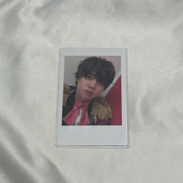 팬더드래곤 파라곤 하피카 나기
