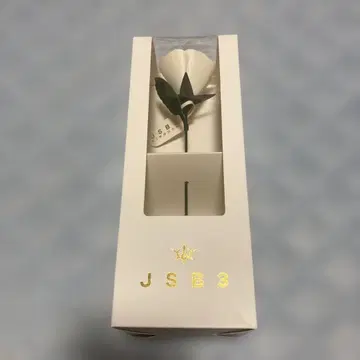 3대째JSB 아트 로즈 [KINGDOM]