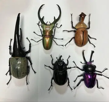 장수풍뎅이 피규어 5세트