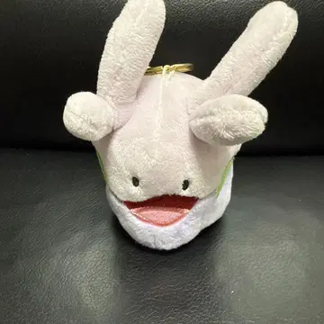 포켓몬 대기만성 TAIKI-BANSEI 누메라 마스코트