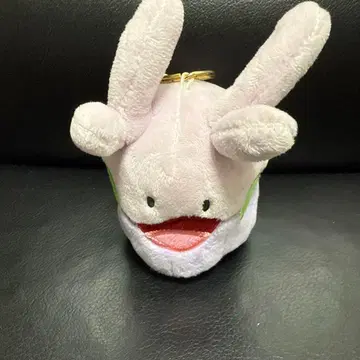 포켓몬 대기만성 TAIKI-BANSEI 누메라 마스코트