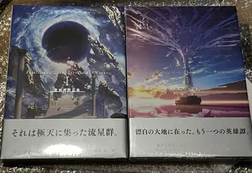 FGO 최종 재림 재림전 화집 세트 Fate/Grand Order