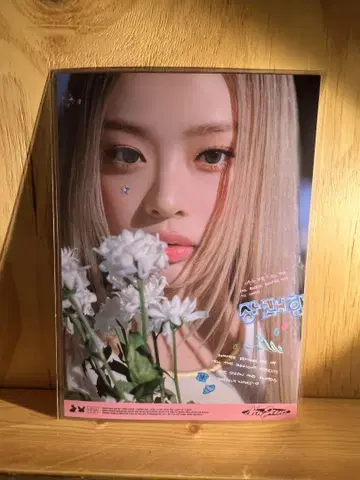 newjeans 하니 hanni 책받침 팝업