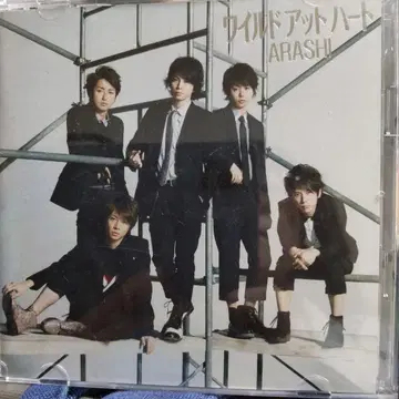 ARASHI 와일드 앳 하트 CD