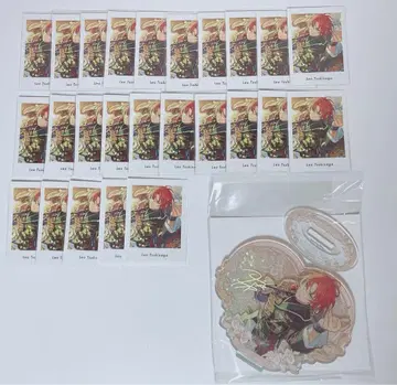 앙스타 파샤츠 츠키나가 레오 꽃의 계약