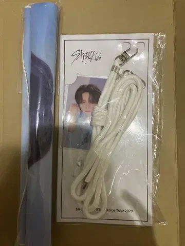 스키즈 리노