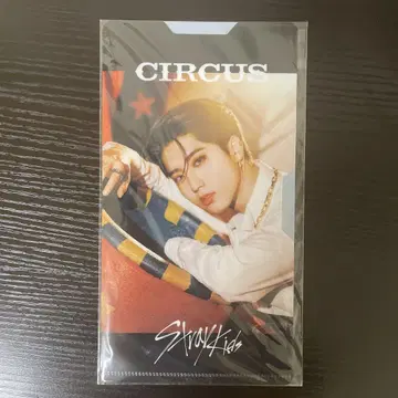 Stray Kids 스키즈 HAN 마스크 케이스 타워레코드 CIRCUS