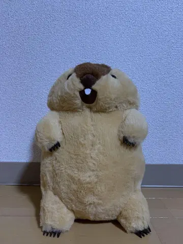 AMUFUN 마모트의 못톳토
