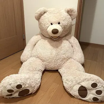 코스트코 / 곰 / 봉제 인형