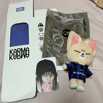 아이엔 폭시니 KARMA