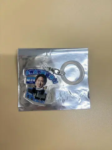 요코하마 FC AWAY 원정 중 메지루시 참 이와타케 카츠야