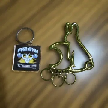 FR2 월 GYM 키링 세트