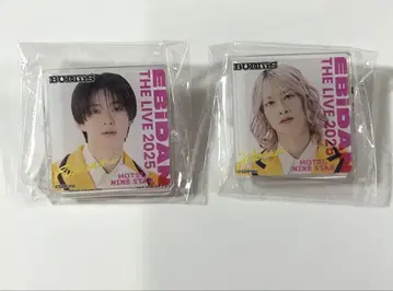 BUDDiiS FUMINORI MORRIE 에비라이 2025 데코 가챠