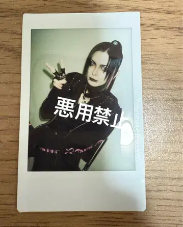 JILUKA Boogie S 생탄제 폴라로이드