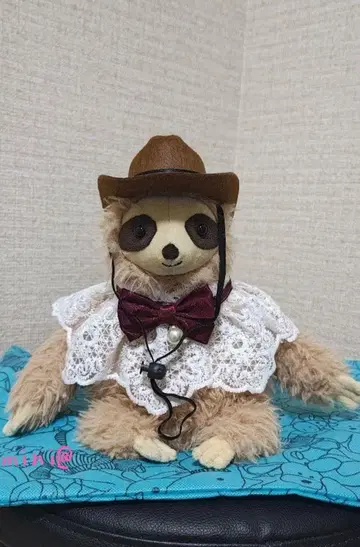 새상품 나무늘보 jellycat