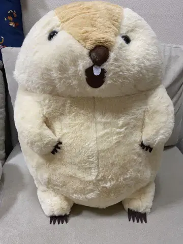 마모트의 모토토 모아 봉제 인형 외치는 모토토
