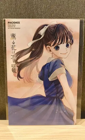 향기로운 꽃은 늠름하게 핀다 와구리 카오루코 엽서 한정 디자인